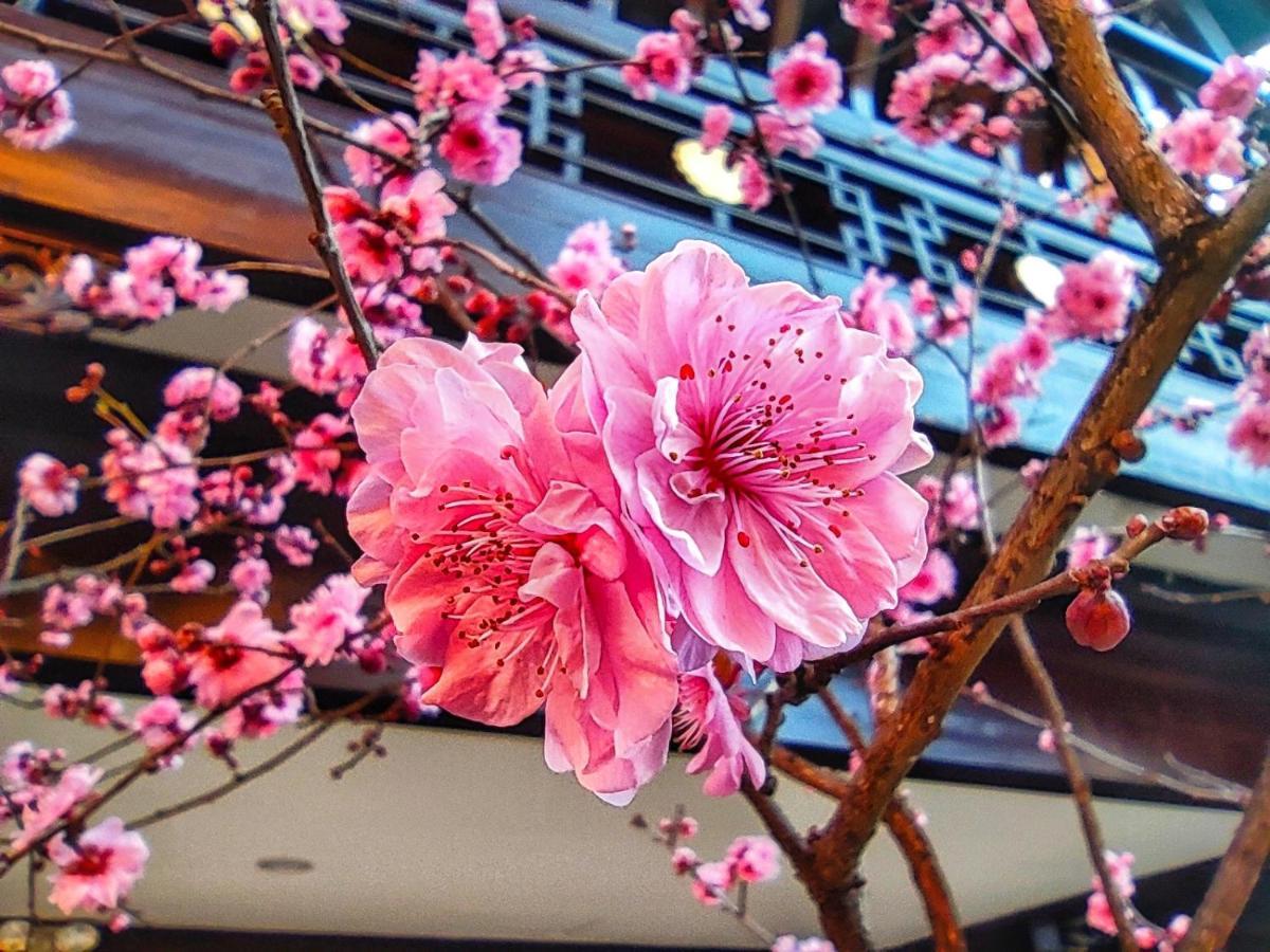 Doof Resort Hotel Lijiang  Exterior foto